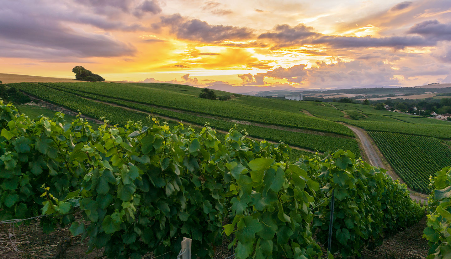 ASSOCIATION DES SOMMELIERS CHAMPAGNE-ARDENNE